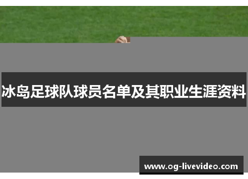 冰岛足球队球员名单及其职业生涯资料